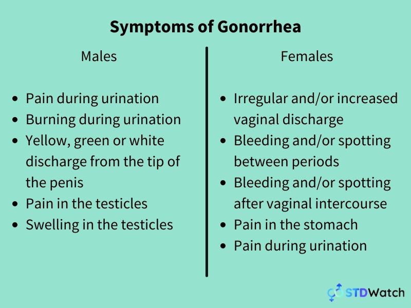 gonorrhea symptoms discharge