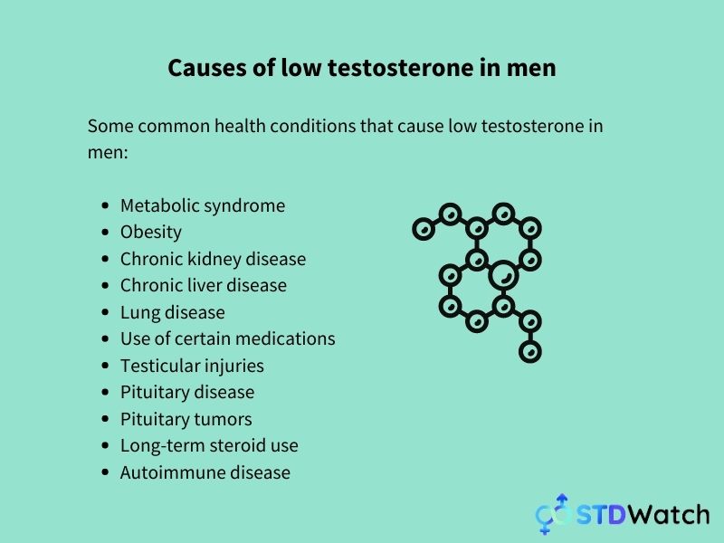 causes-of-low-testosterone-in-men
