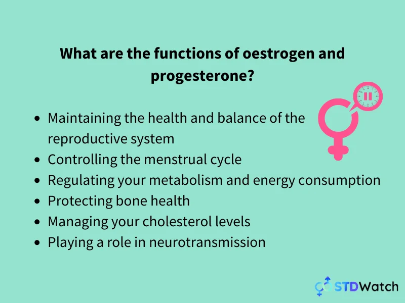 functions-of-estrogen-and-progesterone