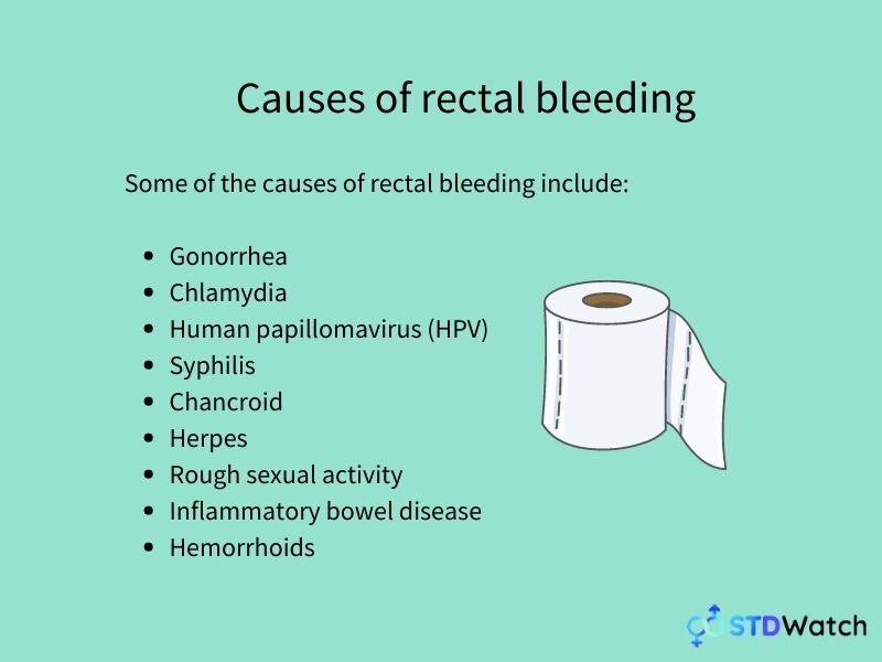 Rectal Bleeding Causes Treatments And When To Go To The Doctor