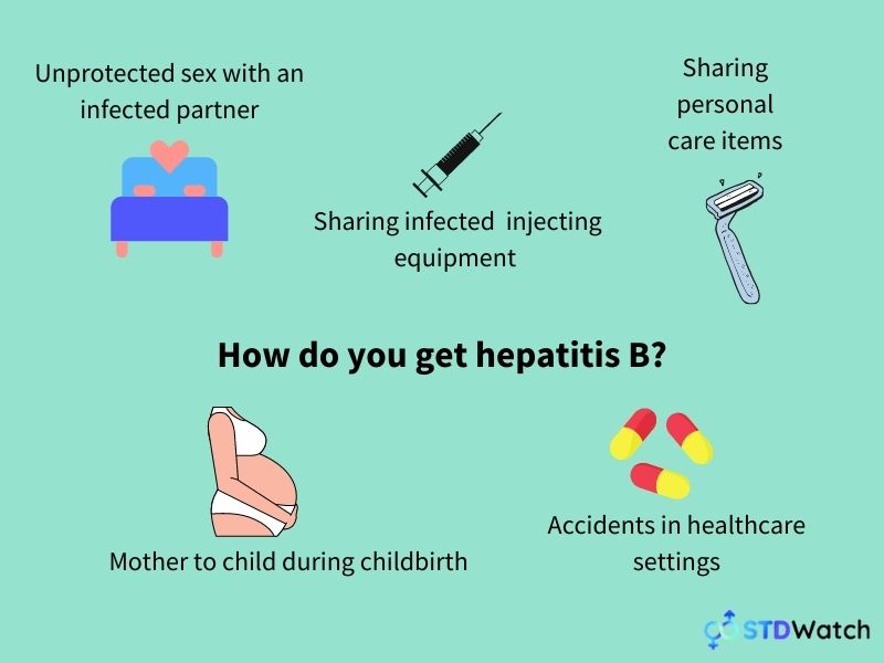 Hepatitis - Everything you need to know | STDWatch.com